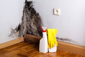 Why You Should Choose Our Mold Remediation Services in Tehachapi, CA